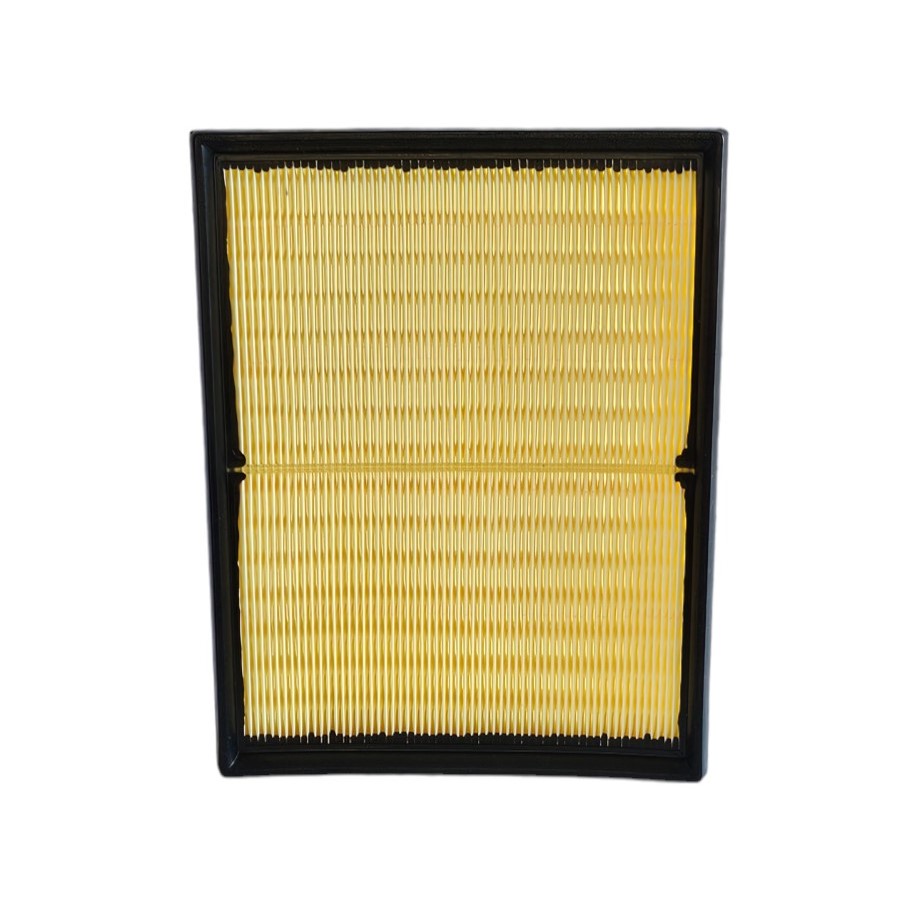 Filtro de Aire Ripex C21001 – RIPEX